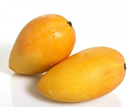 fresh mango