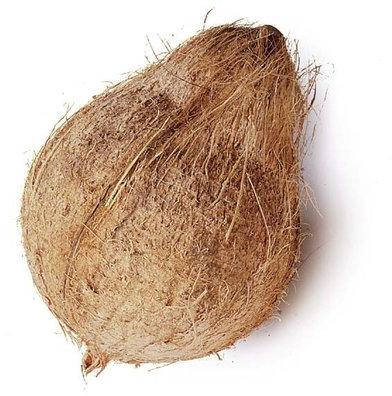 Organic Semi Husked Coconut, Form : Solid
