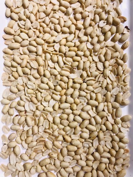 Common peanut, Shelf Life : 6months