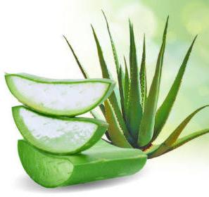 Elixir Aloe Vera gel, for Personal, Packaging Type : Plastic Pouch