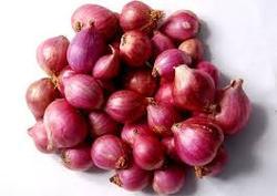 Organic Fresh Sambar Onion, Color : Light Pink