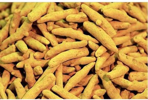 Organic turmeric finger, Feature : Healthy For Skin