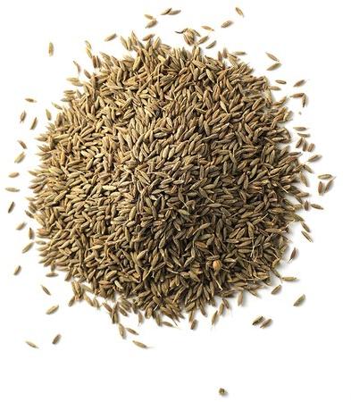 Brown Cumin Seeds