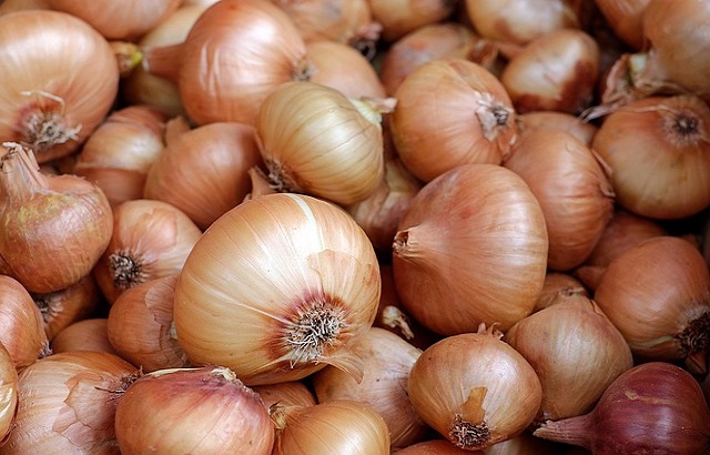 Organic Fresh Yellow Onion, for Human Consumption, Feature : High Quality, Natural Taste