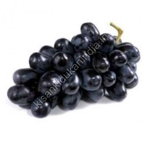 Fresh Black Grapes