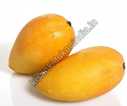 Fresh Mango