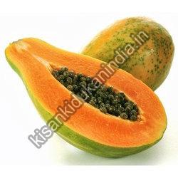 Organic Fresh Papaya, Feature : Good Taste, Healthy