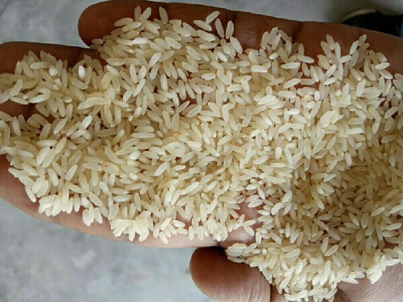 Rice sambha steam, Packaging Type : Jute Bags