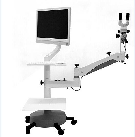Automatic Polished Digital Colposcope, for Clinic, Hospital, Personal, Feature : Adjustable, Colposcopy Software