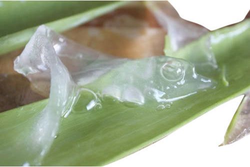 Herbal Aloe Vera Pulp