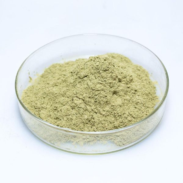 Aloe Vera extracts powder, Packaging Size : 1 kg