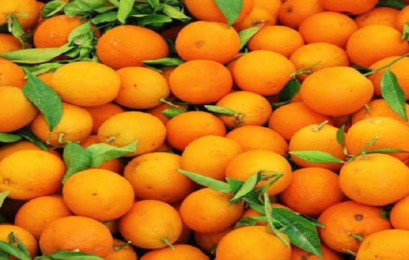Fresh Orange, Packaging Size : 20kg