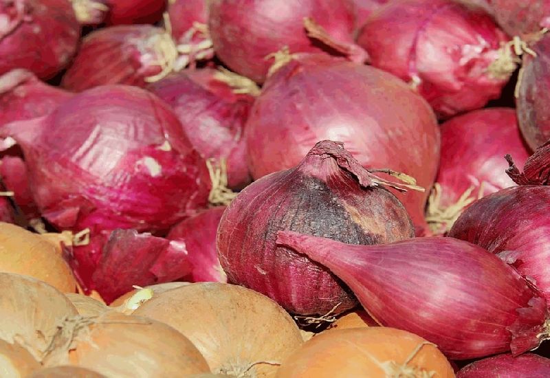 Organic Fresh Podisu Shallot Onion, Packaging Type : Jute Bags