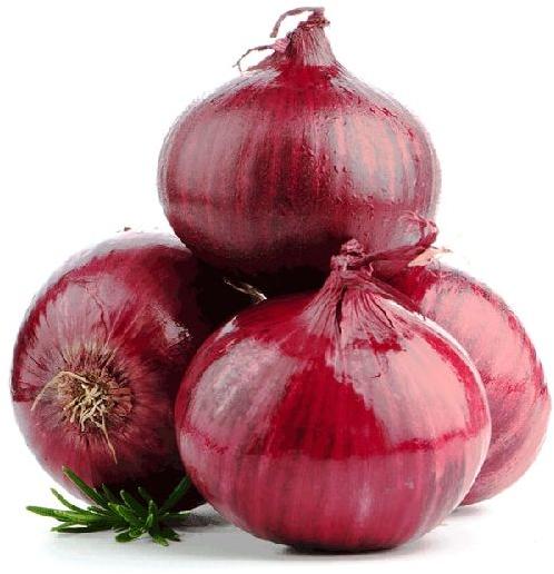 Fresh red onion, Grade : A