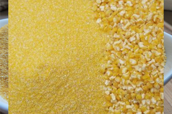 Organic Degerminated Corn Flour, Packaging Type : Plastic Bag
