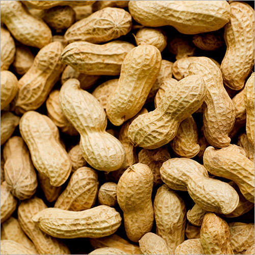 Shelled Groundnuts, for Snacks, Style : Kernels