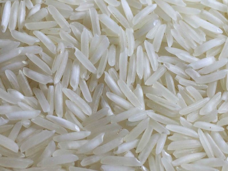 Organic Sugandha Raw Basmati Rice, For Cooking, Certification : FSSAI Certified