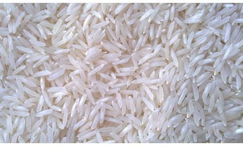 Organic Traditional Raw Basmati Rice, Variety : Long Grain