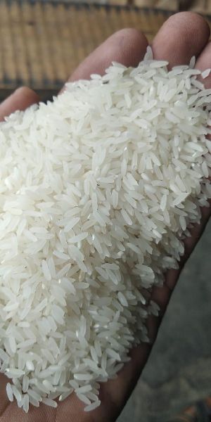 Common white rice, for Cooking, Packaging Type : Plastic Bags
