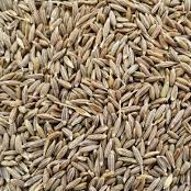 Cumin seeds, for Spices, Certification : FSSAI Certified