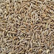 cumin seeds