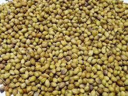 Coriander seeds, for Spices, Certification : FSSAI Certified