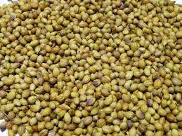 coriander seeds