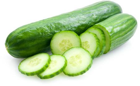 Fresh Cucumber,fresh cucumber