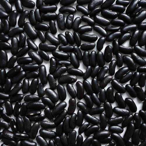 Organic Black Kidney Beans, Packaging Size : 10kg, 25kg