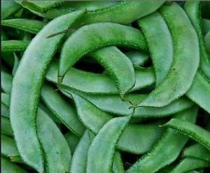 Organic Fresh Flat Beans, Style : Natural