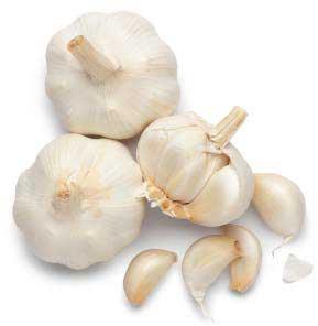 Organic fresh garlic, Color : White