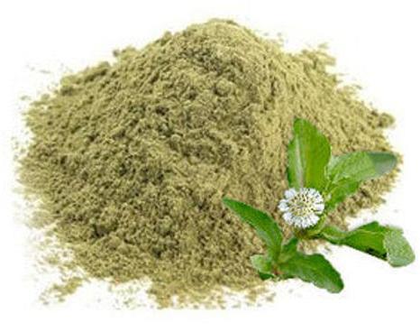 Organic bhringraj powder, Color : Green