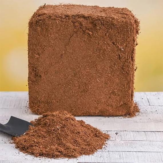 Coco Peat Block, for Construction, Form : Solid