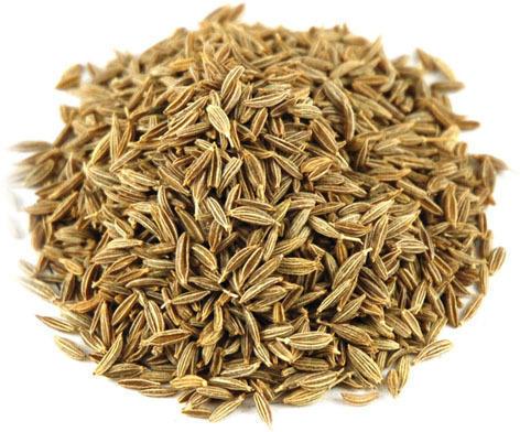 Cumin Seeds, Packaging Type : PP Bag