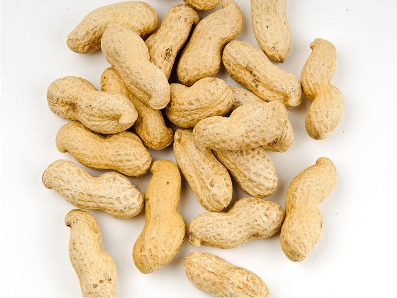 Shelled Peanuts