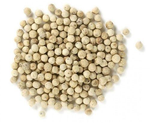 Organic white pepper seeds