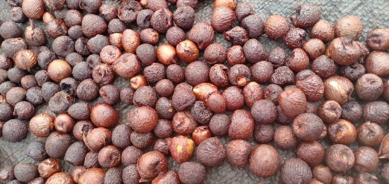 Natural Raw areca nut, Style : Dried