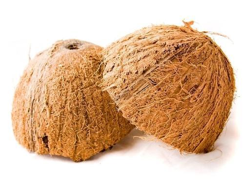 coconut shell, Packaging Type : Bag, Packaging Size : 1kg, 2kg, 5kg at Rs  11 / Tonn in Sivaganga