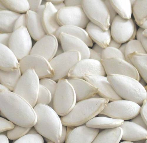 Organic White Pumpkin Seeds, Shelf Life : 1year