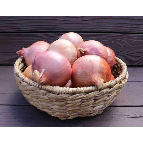 Pink Onion, for Human Consumption, Cooking, Packaging Size : 5 Kg, 10 Kg, 25 Kg