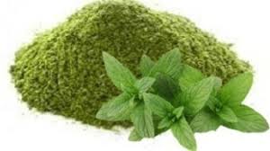 NECTAR BROOKE Natural mint leaf powder, for Medicines Products, Feature : Good Quality, Non Harmful