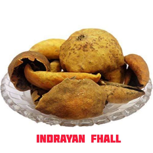 indrayan phal