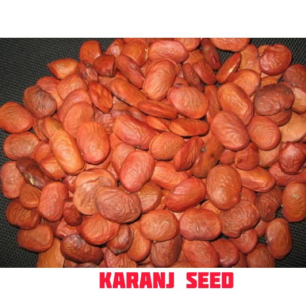 Karanj Seeds, Purity : 98%