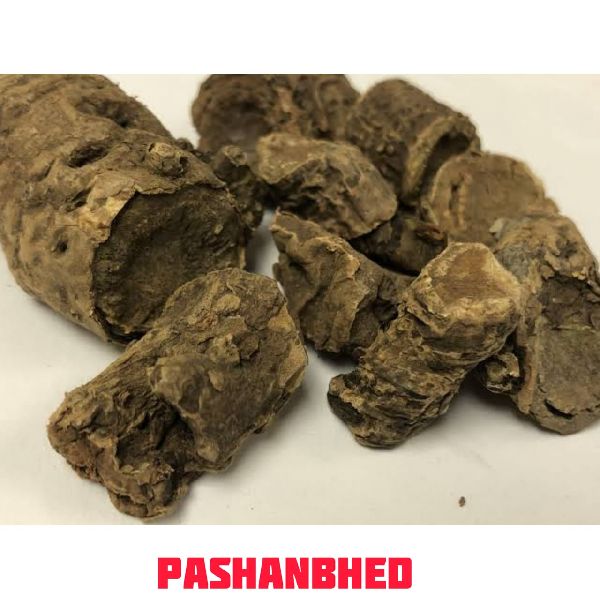 Pashanbhed Natural Herb Extract Higher classification:Bergenia