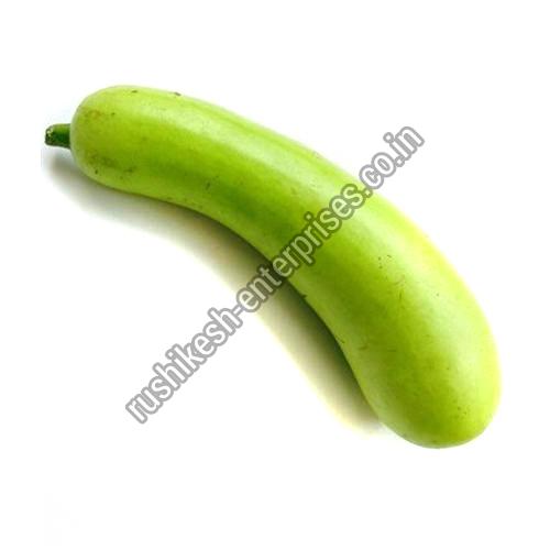 Organic Fresh Bottle Gourd, Color : Green