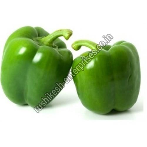 Fresh Capsicum, Packaging Type : Plastic Sack