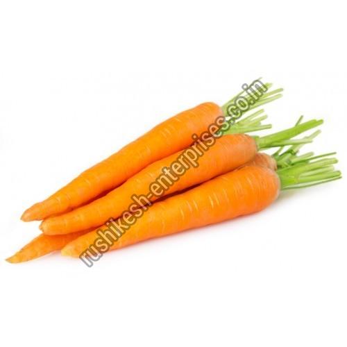 Organic Fresh Carrot, for Juice, Pickle, Packaging Type : Jute Sack, PP Bags