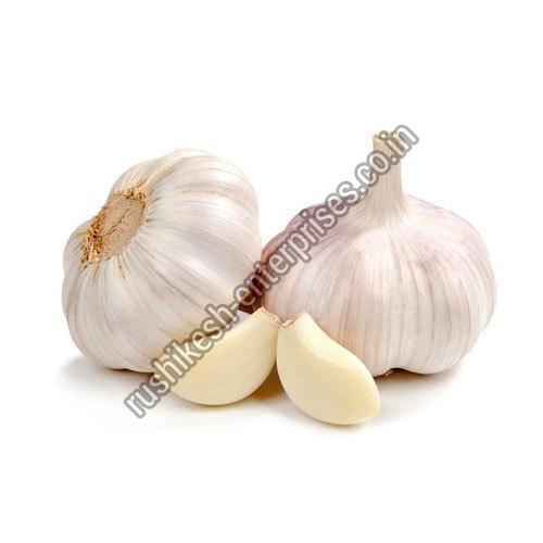 Organic fresh garlic, Packaging Type : Gunny Bags, Net Bags