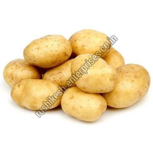 Organic fresh potato, for Cooking, Snacks, Feature : Early Maturing, Floury Texture