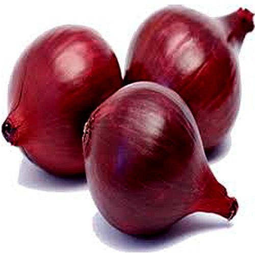 Agrifound Dark Red Onion